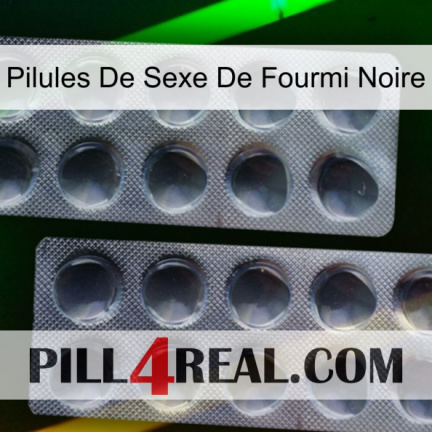 Black Ant Sex Pills 31
